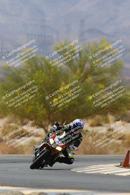 media/Apr-10-2022-SoCal Trackdays (Sun) [[f104b12566]]/Turn 5 Tree of Life (1040am)/